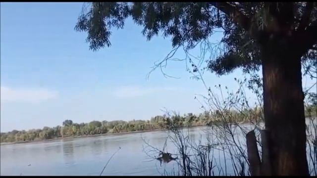 ПОХОД НА РЫБАЛКУ РЕКА ИРТЫШ 19 07 2017 смотреть онлайн