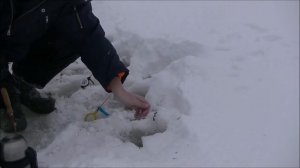 Зимняя рыбалка 24 февраля 2017 р Локчим снасти вертолёт и донки