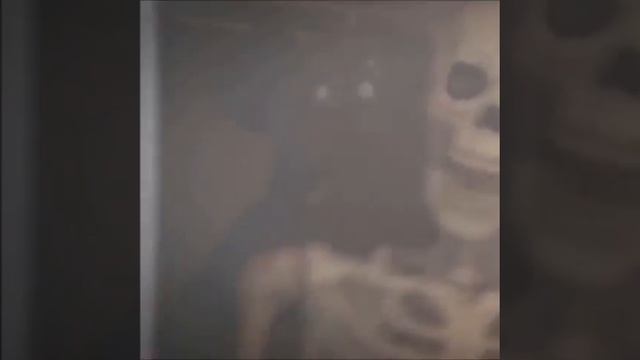 The skeleton war has begun смотреть онлайн