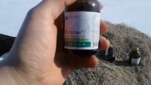 Витамины для бычков!