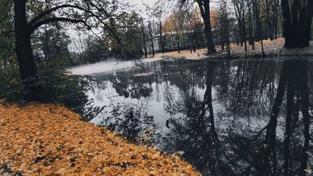 VID 20231101 143416 Раздумья под дождём (Федерико Гарсиа Лорка)...Павел Васильев Лахтинский смотреть онлайн