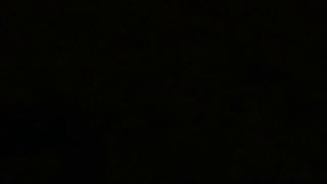 In Skyrim 1180 Shrine Of Dibella