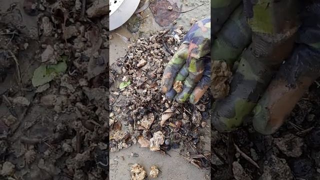 ГОРА ЗОЛОТЫХ САМОРОДКОВ смотреть онлайн