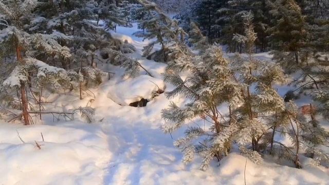 Зимняя сказка продолжается смотреть онлайн