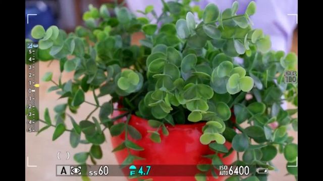 X-A5 smartAF смотреть онлайн