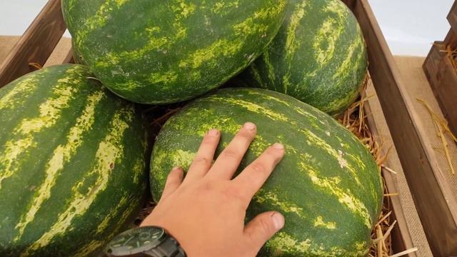 "SAKATA" Обзор ассортимента арбузов. смотреть онлайн