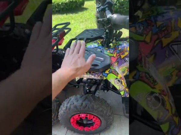 Отзыв покупателя на Электроквадроцикл Motoland ATV E009 1000W