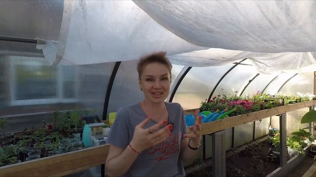 ДНЕВНИК РАССАДНИЦЫ.ПРИШЛИ СЕМЕНА.2022