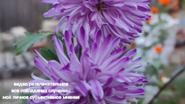 Страничка Надежды. Немытая Ангия. Грязная медицина. В грязном платье и в пир и в мир смотреть онлайн
