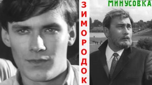 Зимородок.  Минусовка