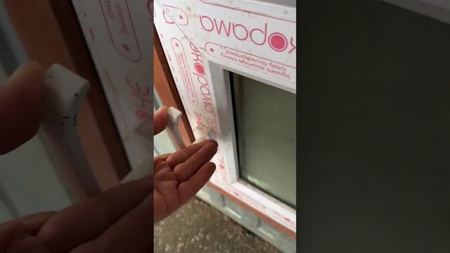 Как загнать собак домой ? смотреть онлайн