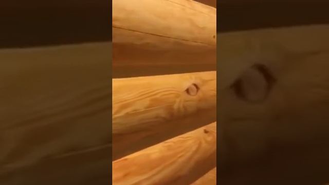 Теплый шов,акриловый герметик Ramsauer Acryl 160 видео смотреть онлайн