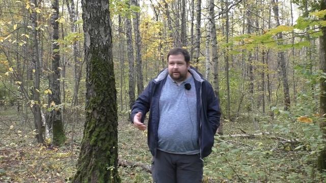 Почему я не починил унитаз за 8 лет смотреть онлайн