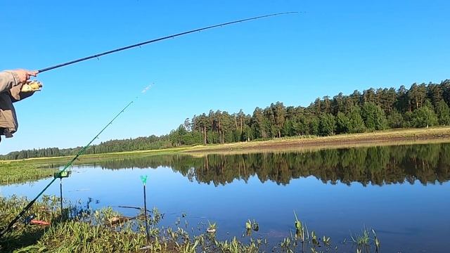 Рыбалка на фидер на реке в конце июня смотреть онлайн