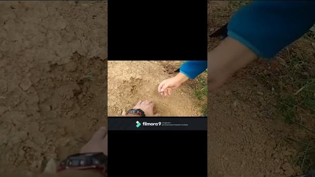 Поиск Мичуринск 2020