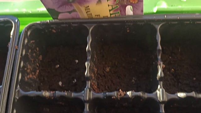 Начала сезон посева цветов на рассаду 15.01 2024.🌻🌸🌼🌺🌻🌼🌸🌺 смотреть онлайн