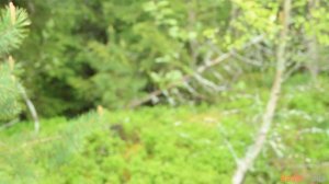 Тест/сравнение двух радиостанций TYT 8000 и Baofeng UV 9R PLUS