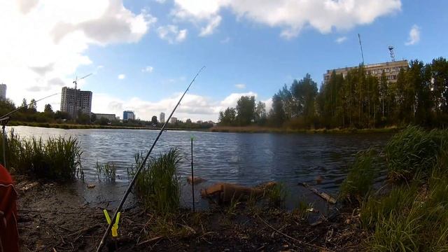 Фидерная рыбалка с Коляном на Уктусе в реке Исеть на ЛЕЩА. Ловля на пикер некрупных подлещиков смотреть онлайн