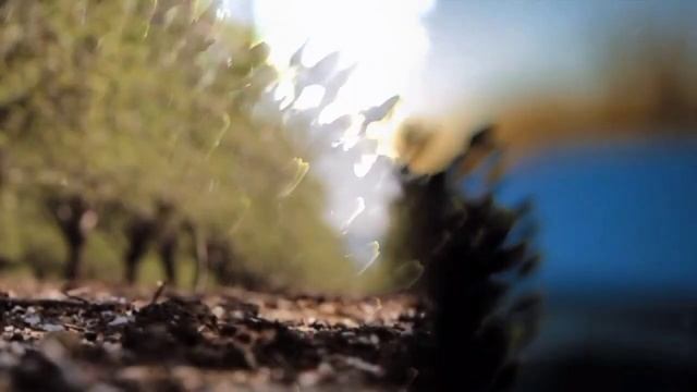 Жизнь после Смерти : встреча с Богом, новое воплощение. Как вспомнить прошлые жизни. смотреть онлайн