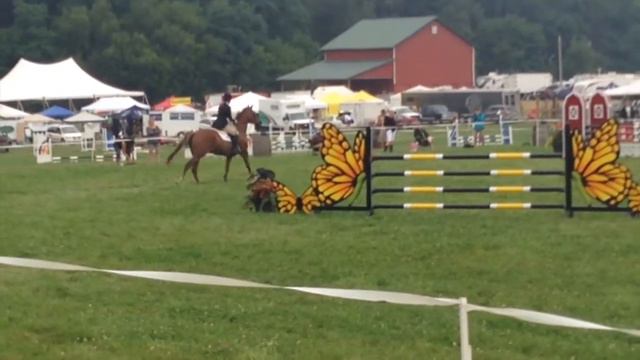 Red Mare ridden by Jessica Shull Preliminary Show Jump смотреть онлайн