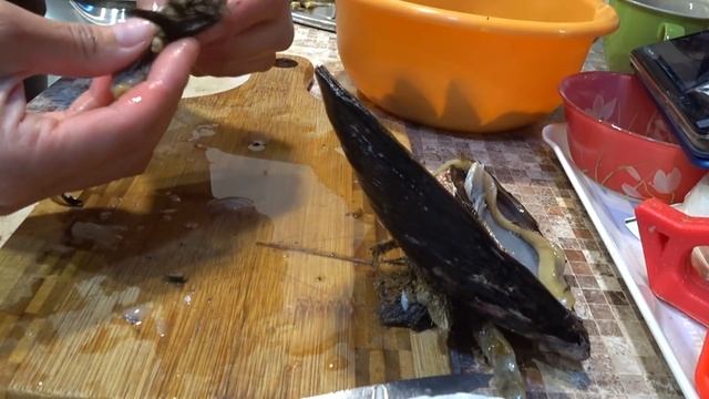 Море в декабре. Мукбанг смотреть онлайн