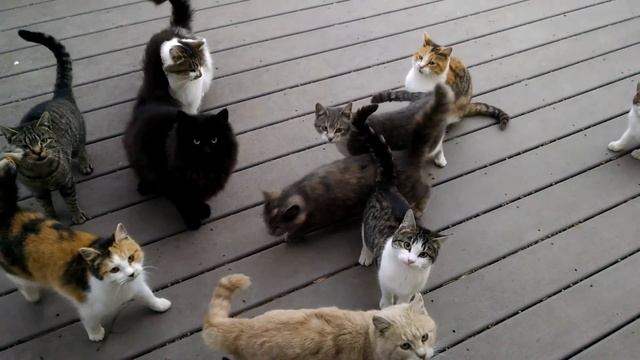 Every Day. Every. Darn. Day.