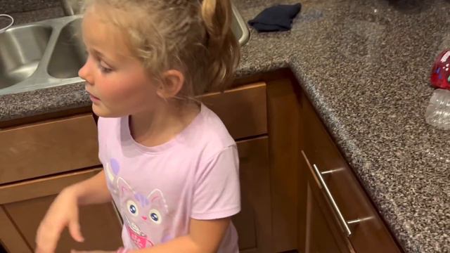 США Влог Реакция Лёвы на новую машину Обед по русски Ужин от Лизы Большая семья Big Family USA VLOG