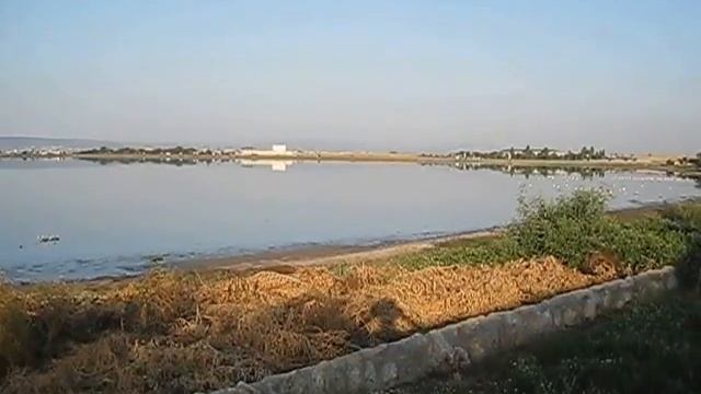 О пользе ходьбы и приседаний. смотреть онлайн