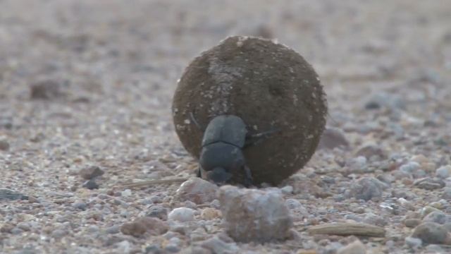 ???ДЛЯ ТЕХ, КТО ТРУДИТСЯ ДЛЯ ХРИСТА??? смотреть онлайн