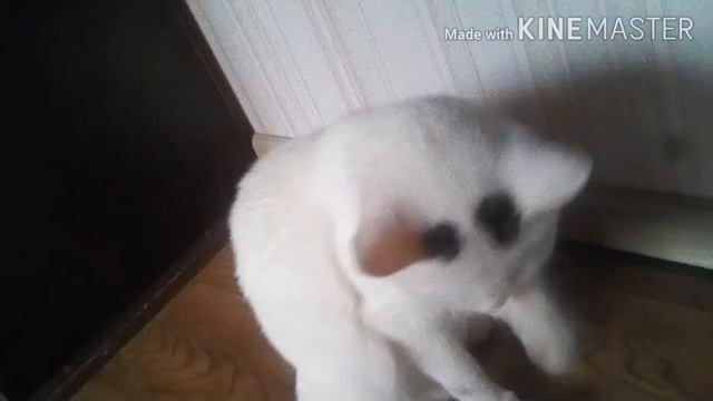 вот чем я занимаюсь на карантине смотреть онлайн