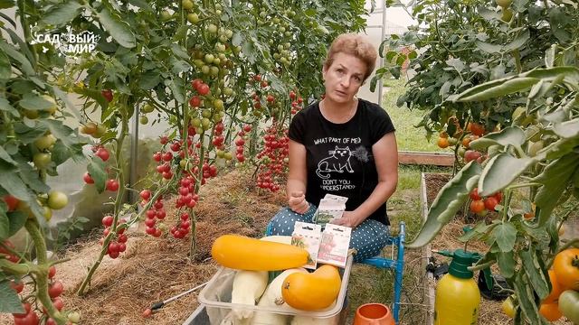 Волшебные таблетки для обильных урожаев томатов, огурцов и перцев смотреть онлайн