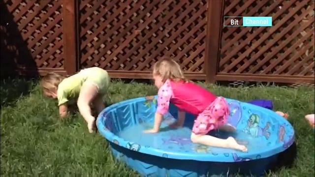 Топовая подборка приколов с собаками и кошками. Смешные коты и собаки. Пес - смешной барбос смотреть онлайн