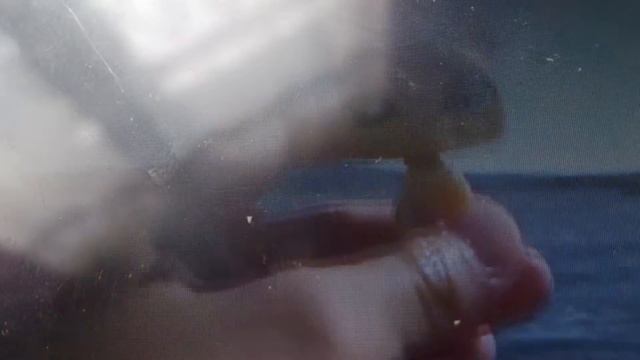 Здесь море и песок на на на смотреть онлайн