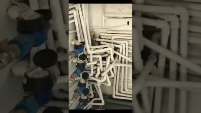 1000020951.mp4 смотреть онлайн