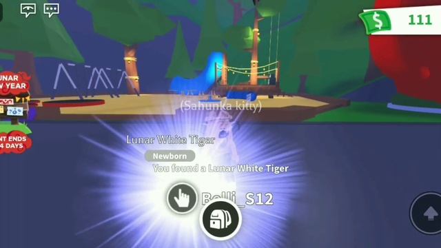 Открываю боксы с тиграми в адопт ми смотреть онлайн