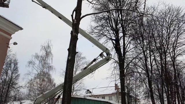 Спил дерева частями Автовышка плюс Арборист смотреть онлайн