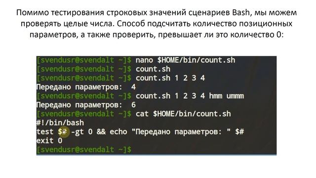 Условия в Bash (if, else, ||, &&, test) смотреть онлайн