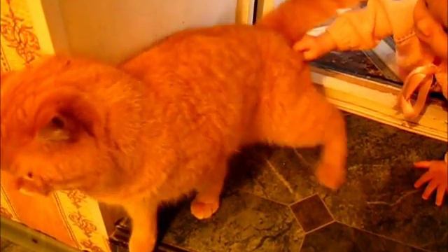 Ты и я одна компания! смотреть онлайн