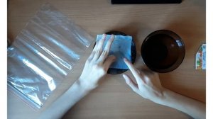 Биология, 6 класс. Прорастание семян.