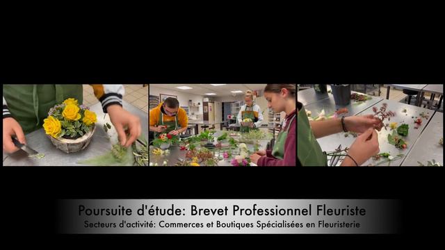 Formations en fleuristerie du lycée Flora Tristan de Camblanes et Meynac. смотреть онлайн