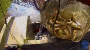 Рыбалка в лиманах вблизи станицы Курчанская