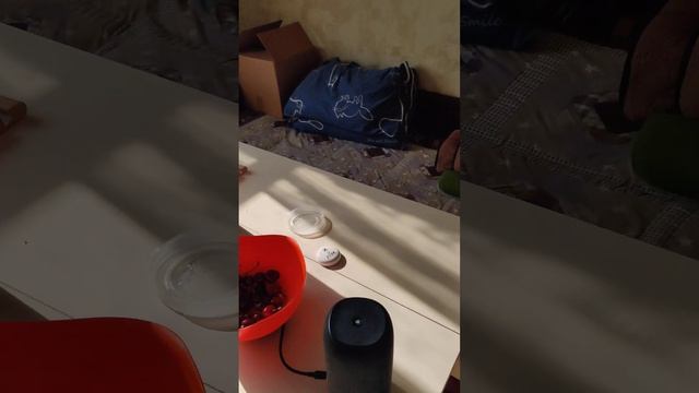 Мой безумный дом! смотреть онлайн