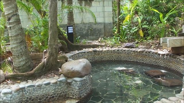 Горячие источники «Наньтянь». Китай, о. Хайнань, г. Санья, лечебные ванны с травами и рыботерапия смотреть онлайн