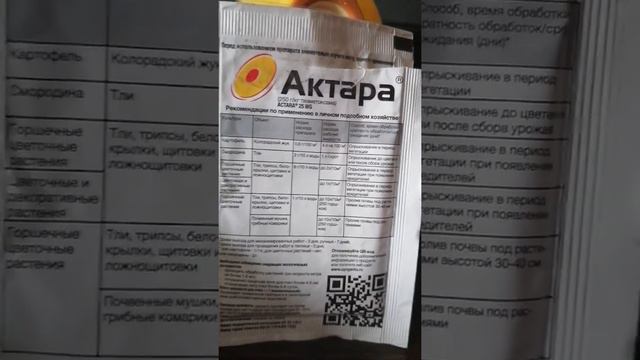 Обрабатываю цветы от вредителей 21.01.2021