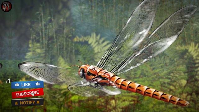 What Was Earth Like In The Era Of Giant Insects?