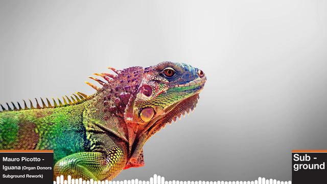 Mauro Picotto - Iguana (Organ Donors Subground Rework) смотреть онлайн