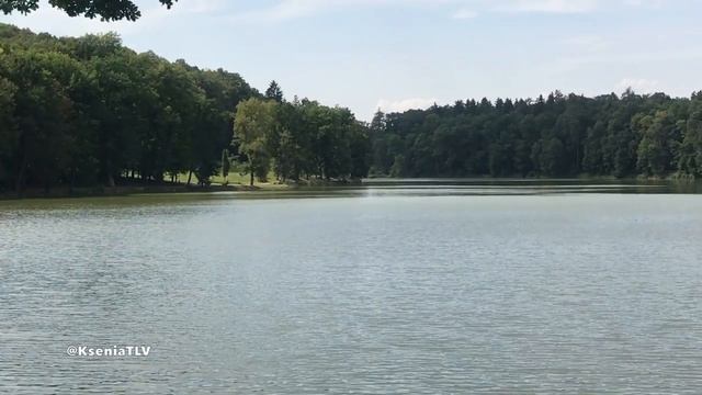 Влог Прага, замки и мы съели оленя ! Были в зоопарке. Где пообедать в пригороде. смотреть онлайн