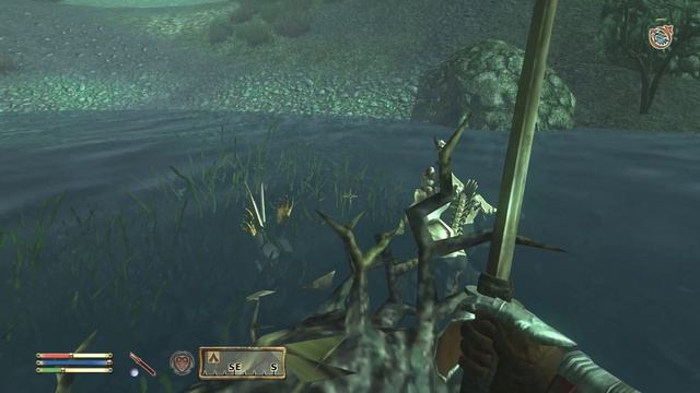 Oblivion: Shivering Isles - 4K60 Walkthrough Part 467 - Blood Island Camp смотреть онлайн