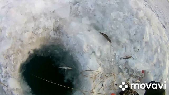 Экстримальная рыбалка, есть налим! смотреть онлайн