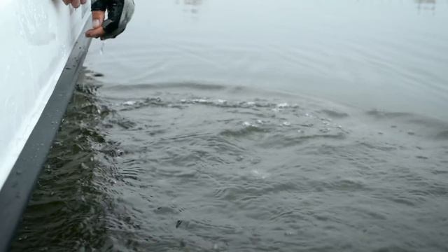 Laker 410 на рыбалке